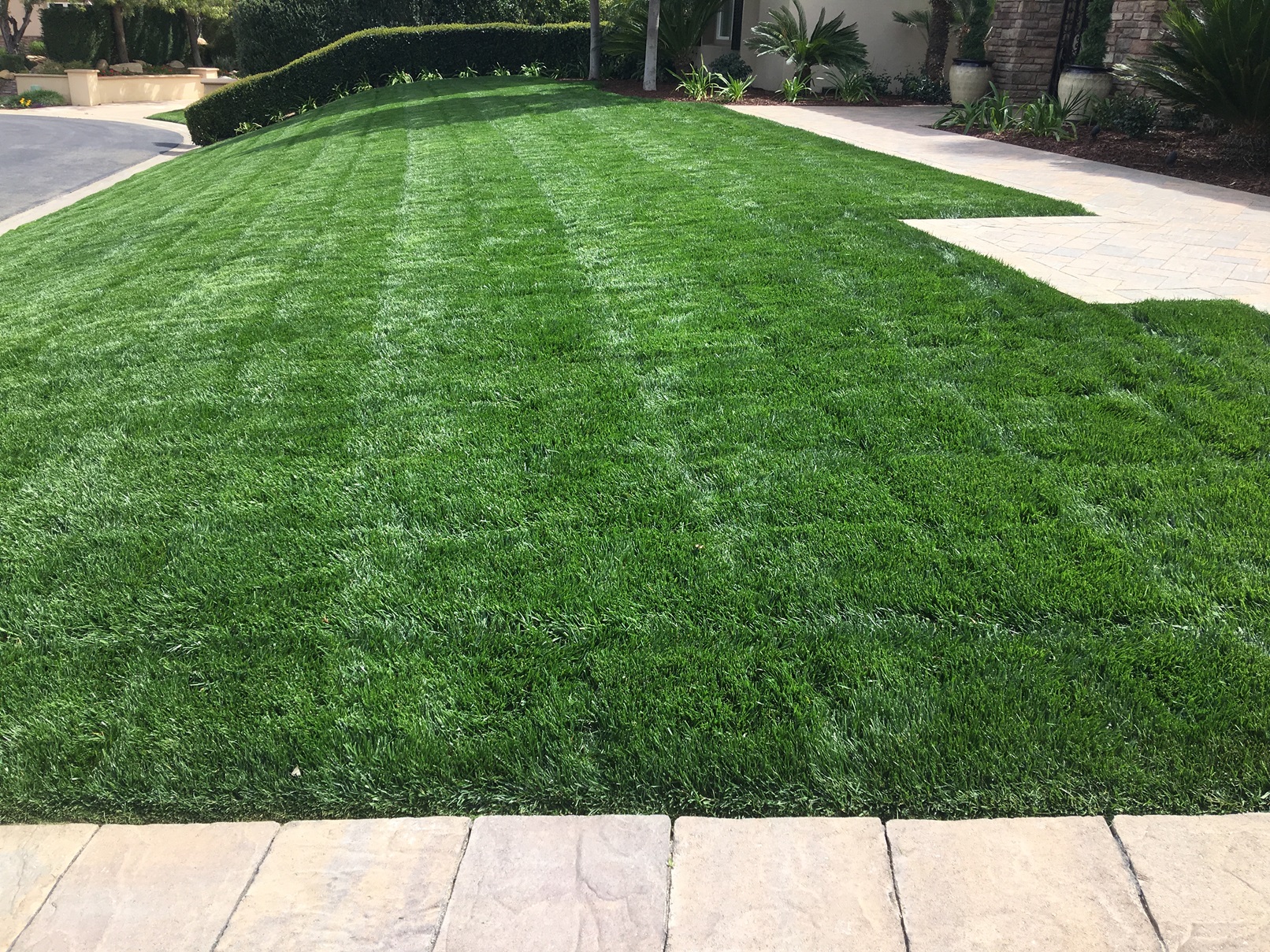 Lawnscape Maintenance Services